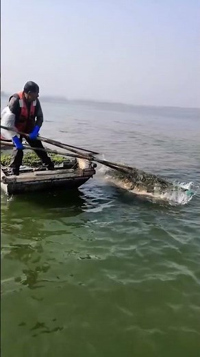 Fishing in the Ancient World — Survival, Skill, and Ingenuity