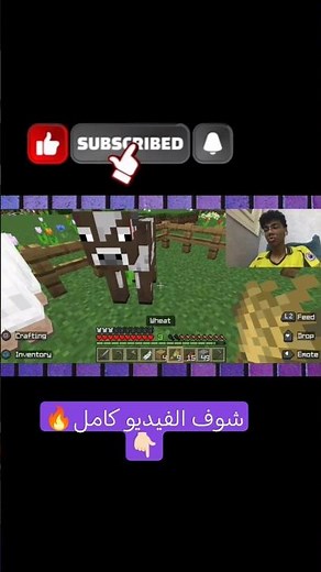 المزرعة السعيدة لايت♥😂 #جيمنج #ماين_كرافت