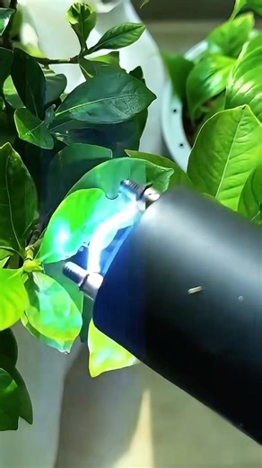 High-power high-voltage electric cattle prod