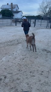 220 reactions · 3 comments | Lilith is growing into a lovely young...