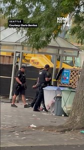 RAW VIDEO: Witness shows scene at Bite of Seattle food festival shortly after mass shooting