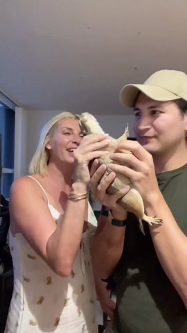 Catch the Classic Prairie Dog Wahoo Call