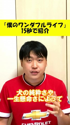 「ワンダフルライフ」15秒で紹介#映画 #映画紹介 #僕のワンダフルライフ #犬 #転生