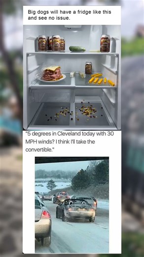 Embracing the Chill with an Open-Top Drive 🤣😄