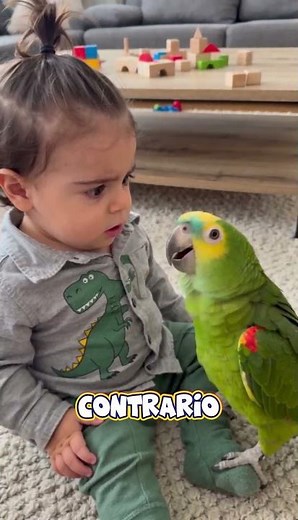 This baby's reaction to his parrot is priceless 😂 #shorts #pets #funny