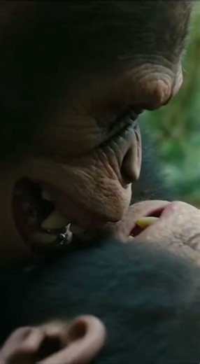 This Chimpanzee Fight Is Insane 😳 - Primal Instincts Take Over 🐒🔥| Brutal Jungle Showdown