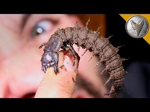 BITTEN by an ALIEN!