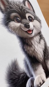 4.8K views · 91 reactions | Look at all the details of this adorable wolf pup drawing by @artby_jazmin coming together to inspire you! #beautifulbizarre #art #drawing #realisticdrawing #illustration #cuteillustration #wildanimals #animals #cuteanimals #wolf #artlovers | Beautiful Bizarre Magazine | Facebook