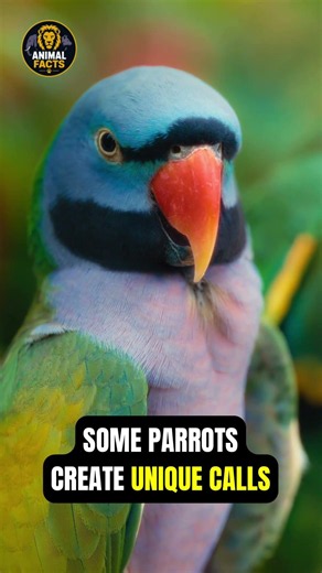 This Bird Gives Its Babies Names 😱🦜