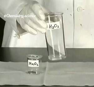 1.6K views · 32 reactions | Pour some hydrogen peroxide into the...