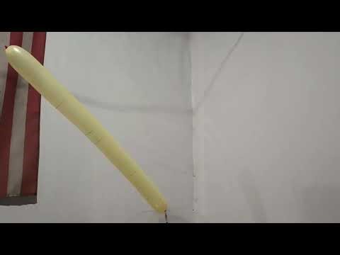 Probably Walmart Brand Rocket Balloon Pop