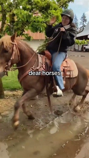 Horse.exe has stopped working. 🐴🚫#shorts #funny #horse #animals #funnyanimals