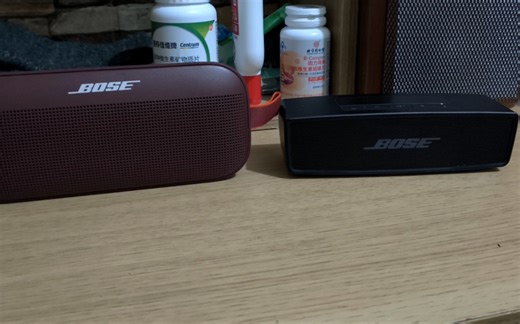 bose mini对比小巨蛋flex