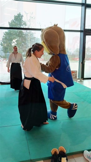 Voluntary Aikido work at the 40th Indoor Sports Festival in Rostock #aikidorostock #martialarts