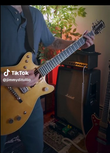 Malcolm Young's Live Performance of Moneytalks