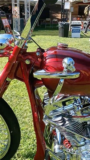 Josh Brown 1949 HD Panhead Born Free 2026 @STANDARD_CYCLES #harley #chopper