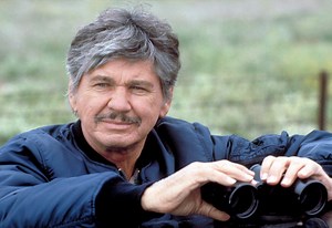 Charles Bronson in the Movies : From A to Z