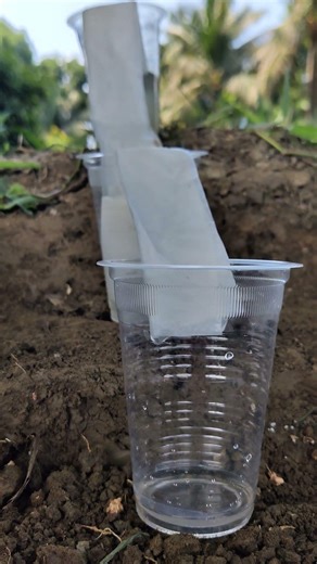 One Survival Skills: Filter Muddy Water #camping #bushcraft#outdoors