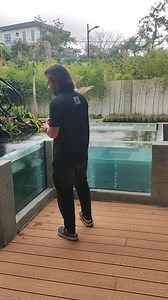 220K views · 2.7K reactions | test fish #Koi pond ☺️ water parameters checking | CHASE Aquatics | Facebook