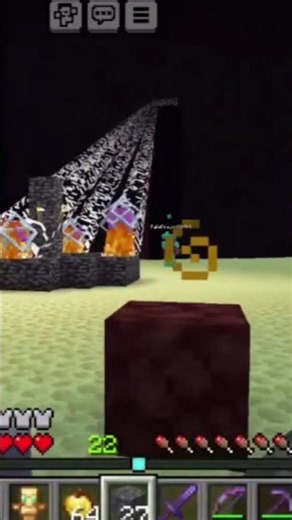 I Summon the Ender Dragon!