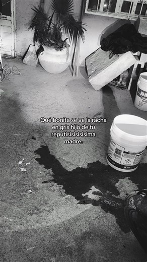 Racha Bonita en Gris: La Nueva Tendencia