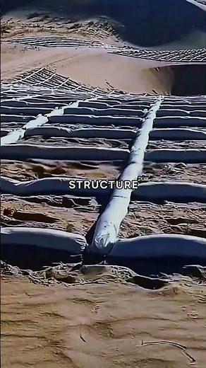 How humans stop deserts | Sand barriers explained