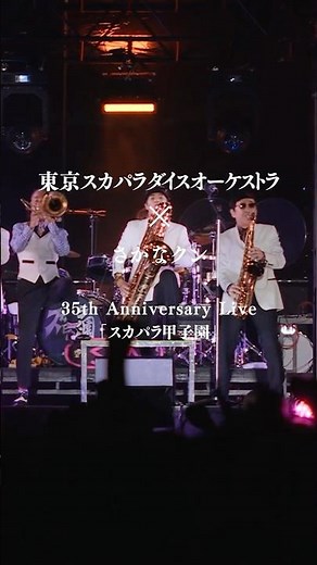 #さかなクン × #スカパラ 🎵Paradise Has No Border