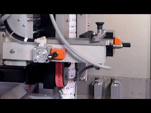 SVE 2520 AR The High Speed Continuous Motion Bagger For Efficient Production