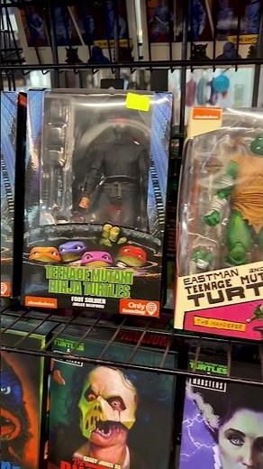 Rare TMNT Toy Hunt: Modern & Vintage Treasures!
