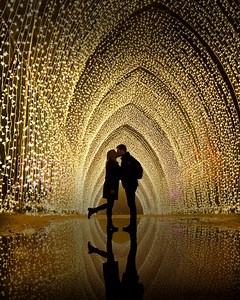 ✨ Lightscape tickets are on sale! Immerse yourself in a magical world of lights. Buy your tickets now! 💫 | Chicago Botanic Garden