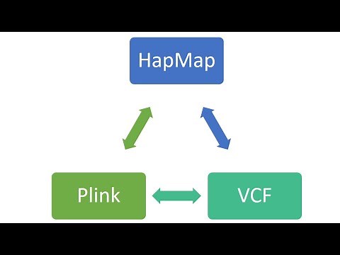 Convert SNP data from one format to another in few clicks. Part 1| HapMap | VCF | Plink