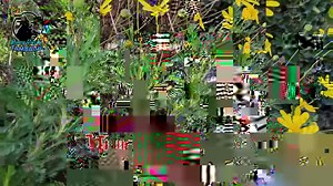 21K views · 211 reactions | #karaoke "Two Steps Behind" is a 1993 song by English hard rock band Def Leppard from their album Retro Active and the soundtrack to the film Last Action Hero. | Pinoy Videoke Tambayan | Facebook