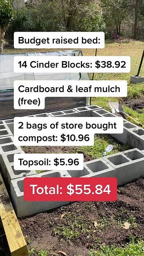 Budget 4x4 Raised Garden Bed for Beginner Gardeners