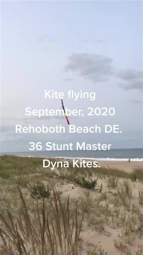 flying 36 Dyna Kite Stunt Master kites.