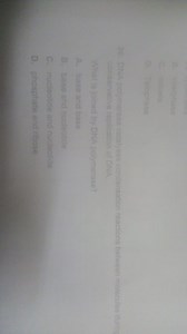 DNA polymerase catalyses condensation reactions between molecul... | Filo