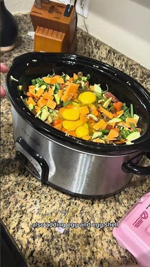 Best homemade dog Food for allergies
