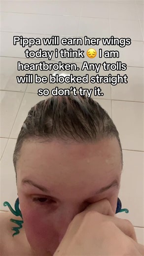 Chronically Colourful 🍉 (@chronicallycolourful)’s videos with original sound - Chronically Colourful 🍉