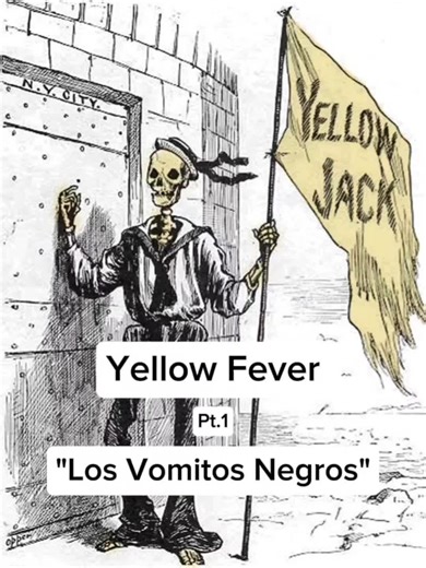 Part 1 of the history of yellow fever, covering its symptoms and its influence on the Haitian revolution. #historytok #yellowfever #darkhistory #medicalhistory #didyouknow
