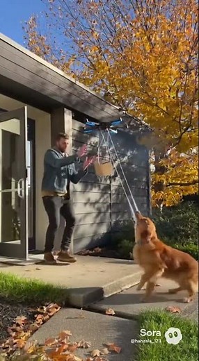 “Drone Delivery Gone Wrong: When Your Dog Becomes the Air Defense System 🐶🚁”