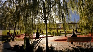 Feds spread $1 billion for tree plantings among US cities to reduce extreme heat and benefit health