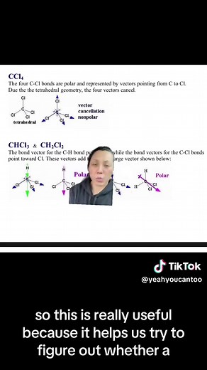 Understanding Polar and Non-Polar Molecules