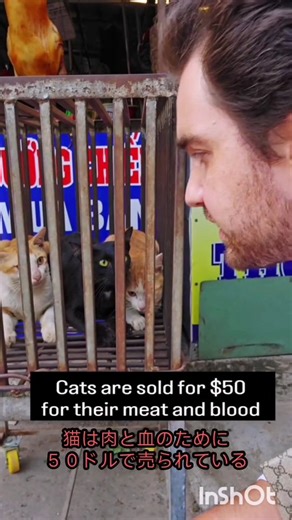 おわりのうた on Instagram: "三味線用の猫皮と犬皮は現在、国内での確保が難しいため、ほぼ全てを海外から輸入しています。主な輸入元は特定されていませんが、一般的にワシントン条約などの国際的な規制の対象ではない国や地域から供給されています。購入は、専門の和楽器店や職人に依頼するのが一般的です。 輸入元と現状 現在、国内で三味線用の猫皮や犬皮を確保することは非常に困難であり、ほぼ全量を輸入に頼っています。動物愛護の観点や供給の不安定さから、特定の国や地域からの安定的な供給は難しくなっています。 猫皮: 伝統的に上級品とされ、猫の腹部の皮を使い1匹から三味線1丁分しか採取できないため高価です。繊細な音色が特徴です。 犬皮: 主に稽古用や津軽三味線に使用され、猫皮より厚みがあり、激しい演奏に適しています。 購入先 三味線の皮は、原皮として直接個人が輸入して加工することは一般的ではなく、専門の業者を通じて購入し、張り替えてもらうのが通常です。 和楽器専門店: 東京都伝統工芸士のいる向山楽器店など、多くの和楽器専門店で皮の張り替えを請け負っており、ここで皮も提供されます。 オンラインス