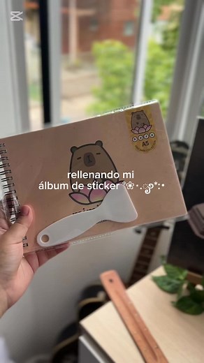 Álbum de stickers en Miniso: organización y creatividad