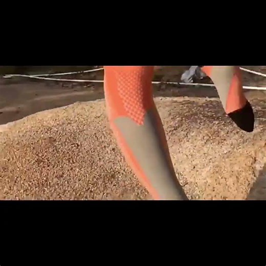 Best Compression Socks for Lymphedema | Reduce Swelling #compressionsocks #brasichic #footcare