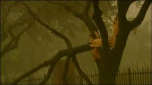 Ike: High winds hit Houston