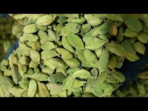 Machine Graded Machine Sorted Green Cardamom from Plantations of Western Ghats of India