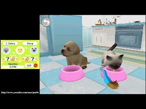 Petz Puppys & Kittenz Gameplay (2011 DS) 1080p HD HQ Playable on Nintendo DSi 3DS DSXL