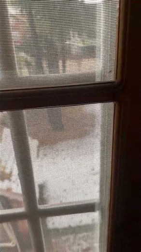 The fresh snowfall from my window #windows #asmr #asmrsounds #winter #snowfall