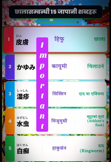 छाला र छाला रोग सँग सम्बन्धित १५ व्यावहारिक जापानी शब्दहरु #日本語tiktok #japaneselanguagelearning #fyp #皮膚管理
