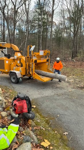 The One With the Chipper! (Friends fans, IYKYK. 😉😆) Whether it’s storm-damaged trees, overgrown branches, or that stump you’ve been meaning to deal with for years, NOW is the time to get ahead of tree cleanup We offer full tree services, including: 🌲 Tree trimming pruning 🪵 Stump removal stump grinding 🚨 Emergency tree services ⛈️ Storm prep clean-up Don’t wait until snow, ice, or high winds turn small problems into big ones. Let our crew handle it beforehand, safely and professionally. Con